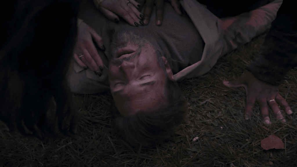 GTST s36 - Stefano Sanders